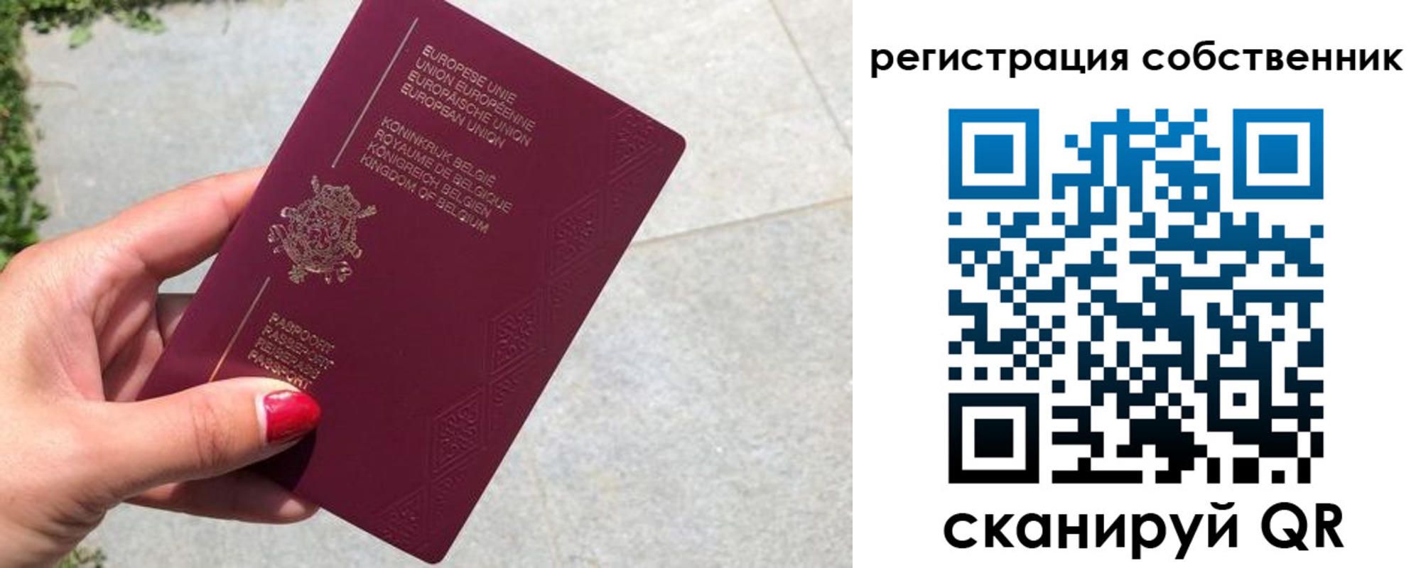 временная регистрация поиск в Михайловске